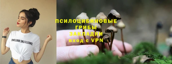 прущий лед Лиски