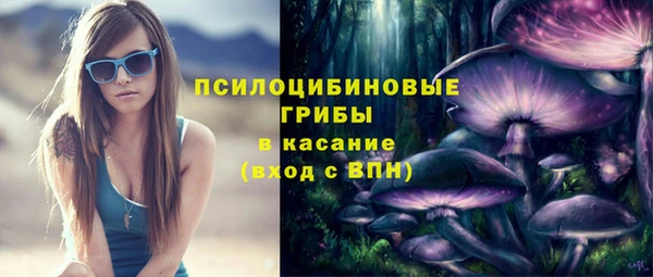 прущий лед Лиски
