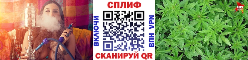 Купить Обь Конопля гибрид